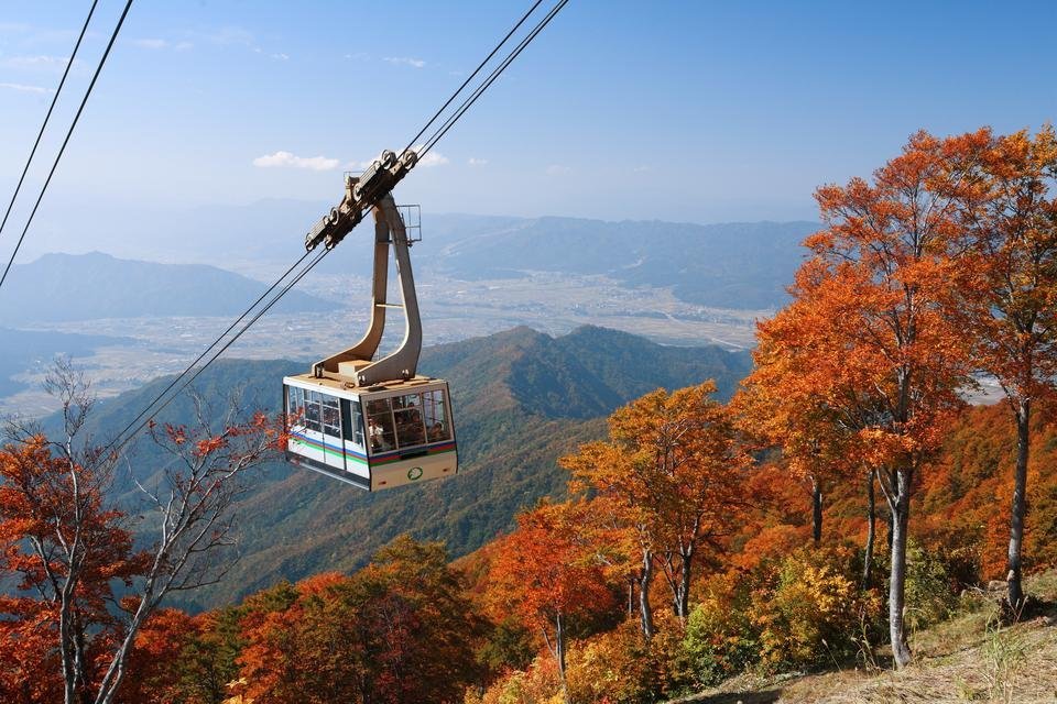 🙏 별격본산 하시쿠라지 이미지 8